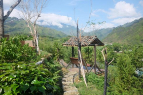 Tom's Du Gia Homestay
